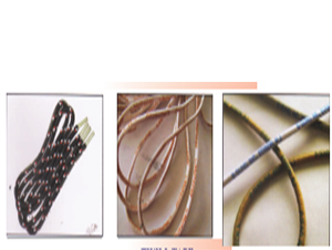 Green Printed Tshirt